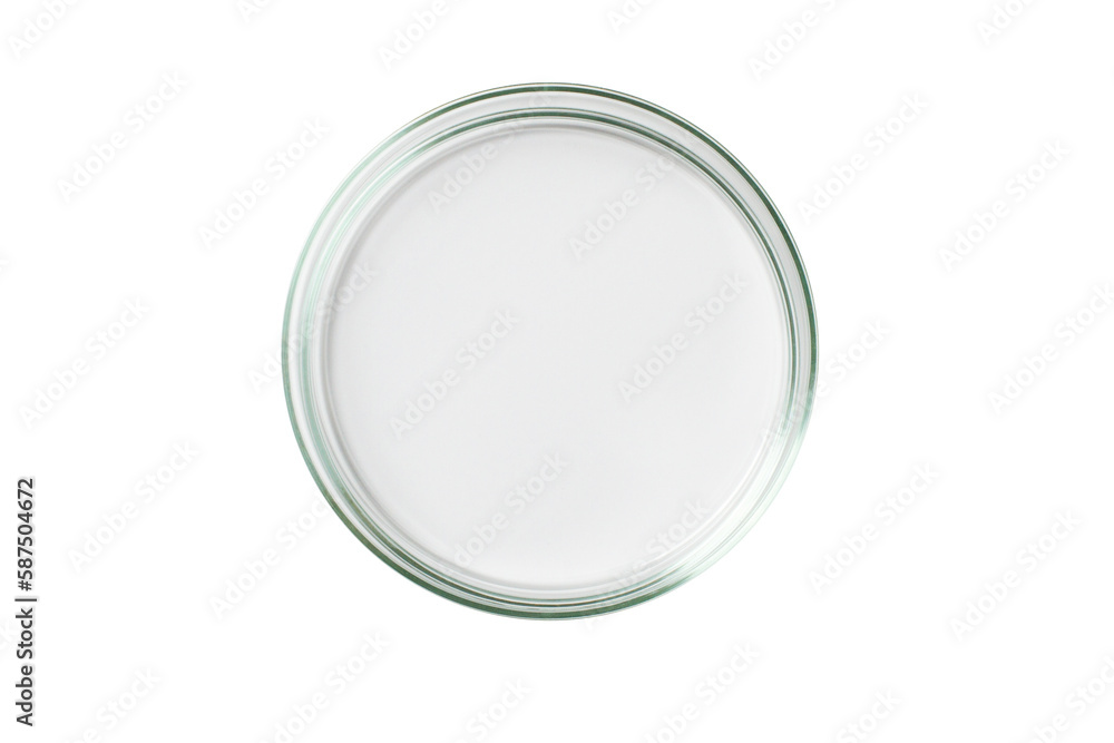 Petri dish empty transparent isolated. PNG. Petri dish empty transparent isolated. PNG.