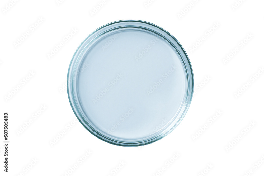 Petri dish empty blue glass isolated. PNG. Petri dish empty blue glass isolated. PNG.