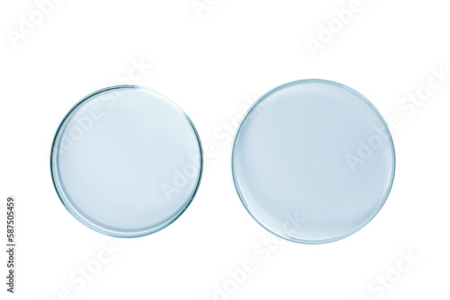 Two Petri dishes empty from blue glass isolated. PNG.