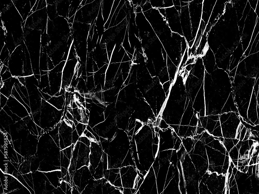 Black Background Collection Black Background Collection