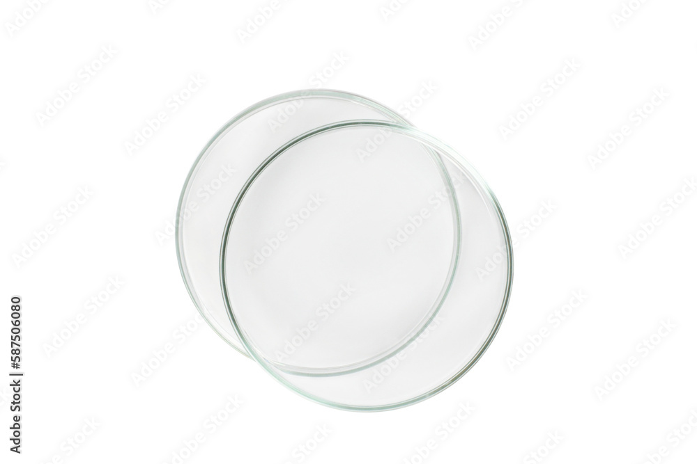 Two Petri dishes empty from glass isolated. Two Petri dishes empty from glass isolated.