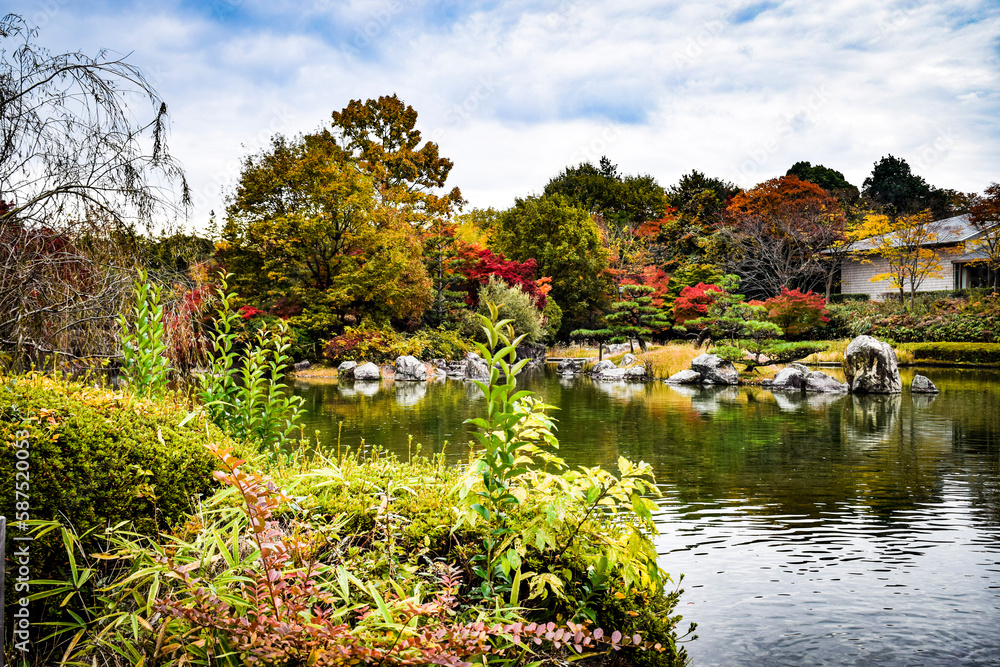 びわこ文化公園の風景と紅葉