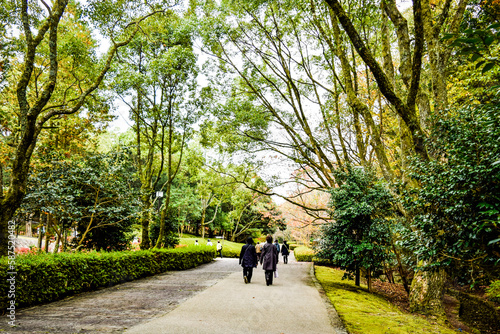 Wallpaper Mural びわこ文化公園の風景と紅葉 Torontodigital.ca