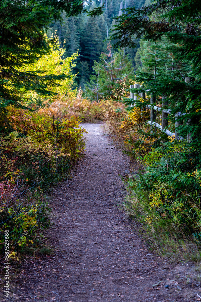 Hiking at South Skookum Lake