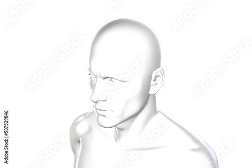 Digital image of human body 