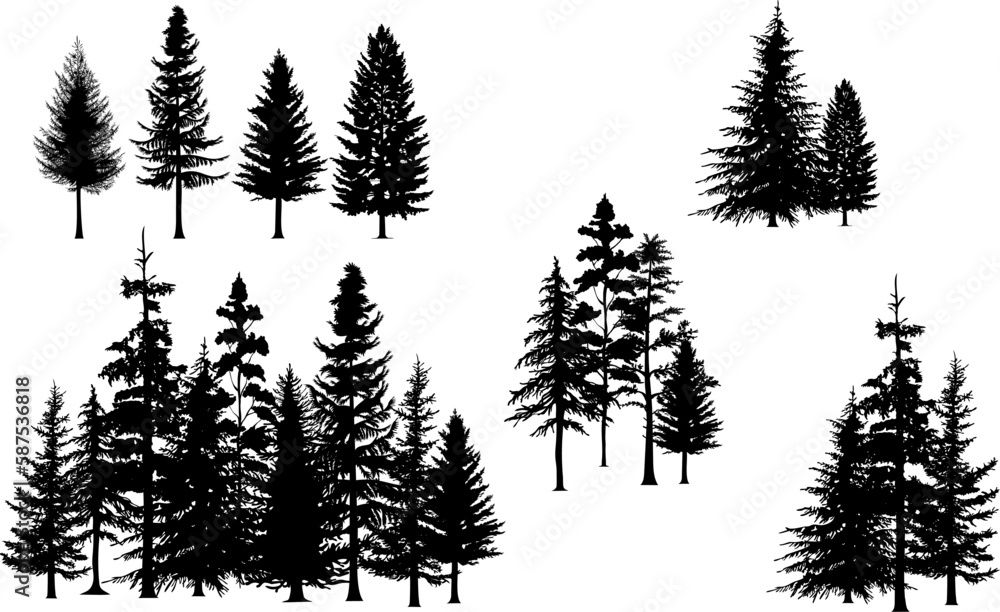 Pine Trees Vector Illustration Set Black Tree Outline Stock Vector