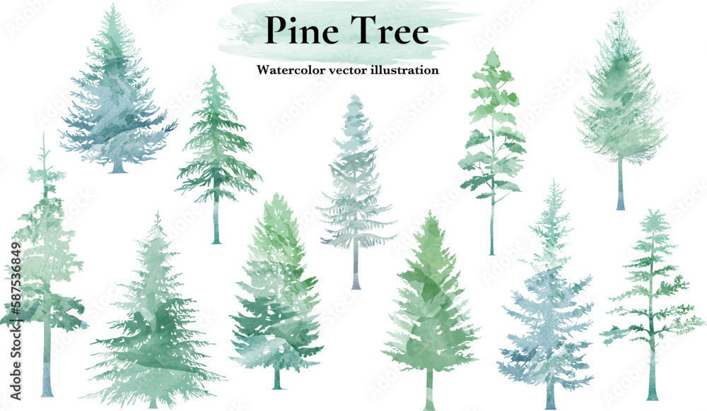 Pine tree silhouette  set. Watercolor  vector illustration.