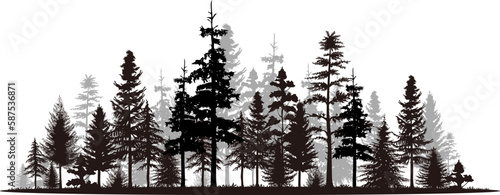 Pine tree panorama vector illustration set. Black silhouette landscape. photo