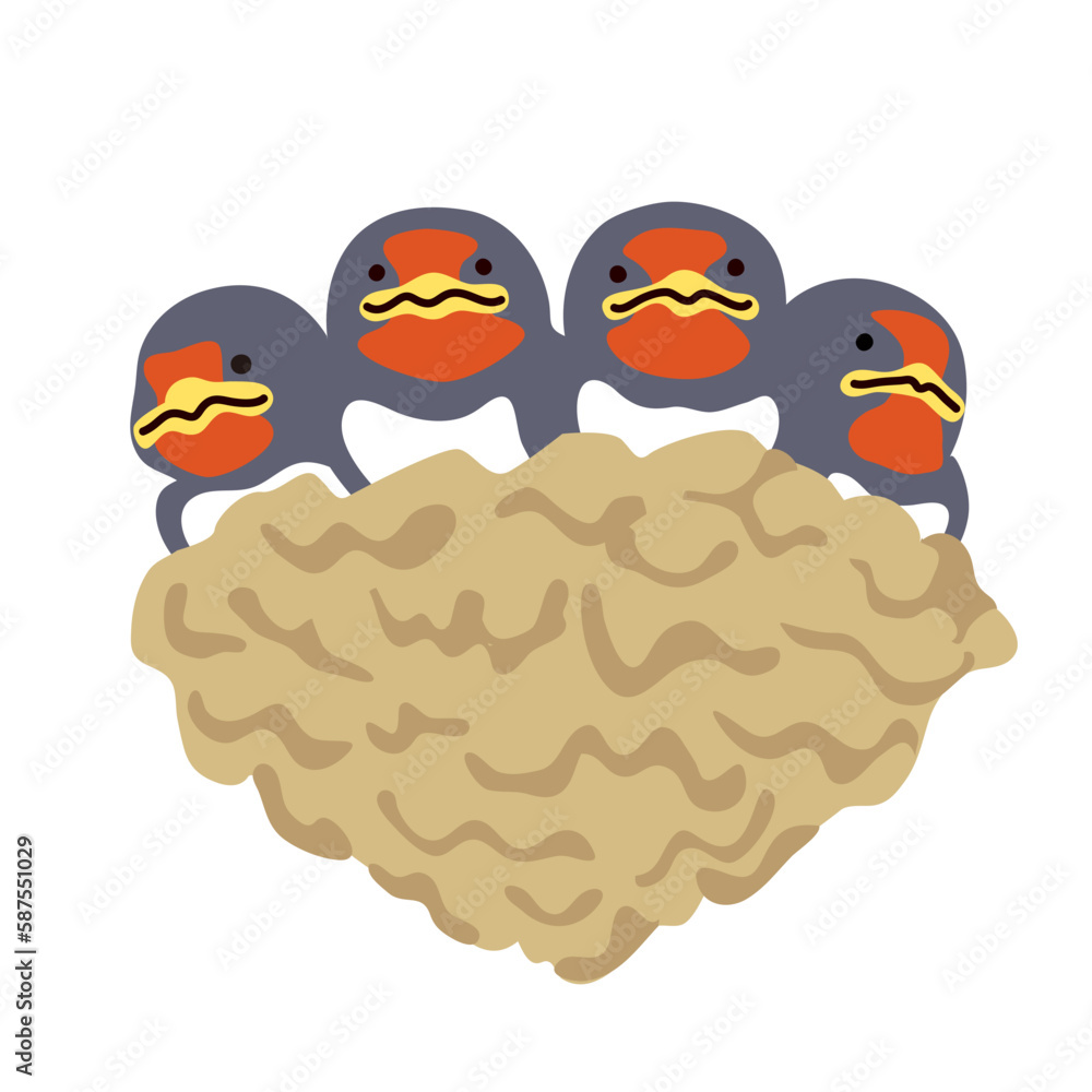 Obraz premium ツバメのヒナ(子ども)のイラスト