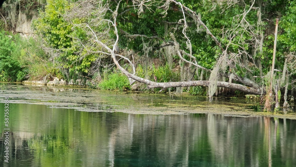 Meadow Lake, Texas is a small, rural community located in the northeastern part of the state, known for its peaceful surroundings and friendly locals. Meadow Lake, Texas is a small, rural community located in the northeastern part of the state, known for its peaceful surroundings and friendly locals.