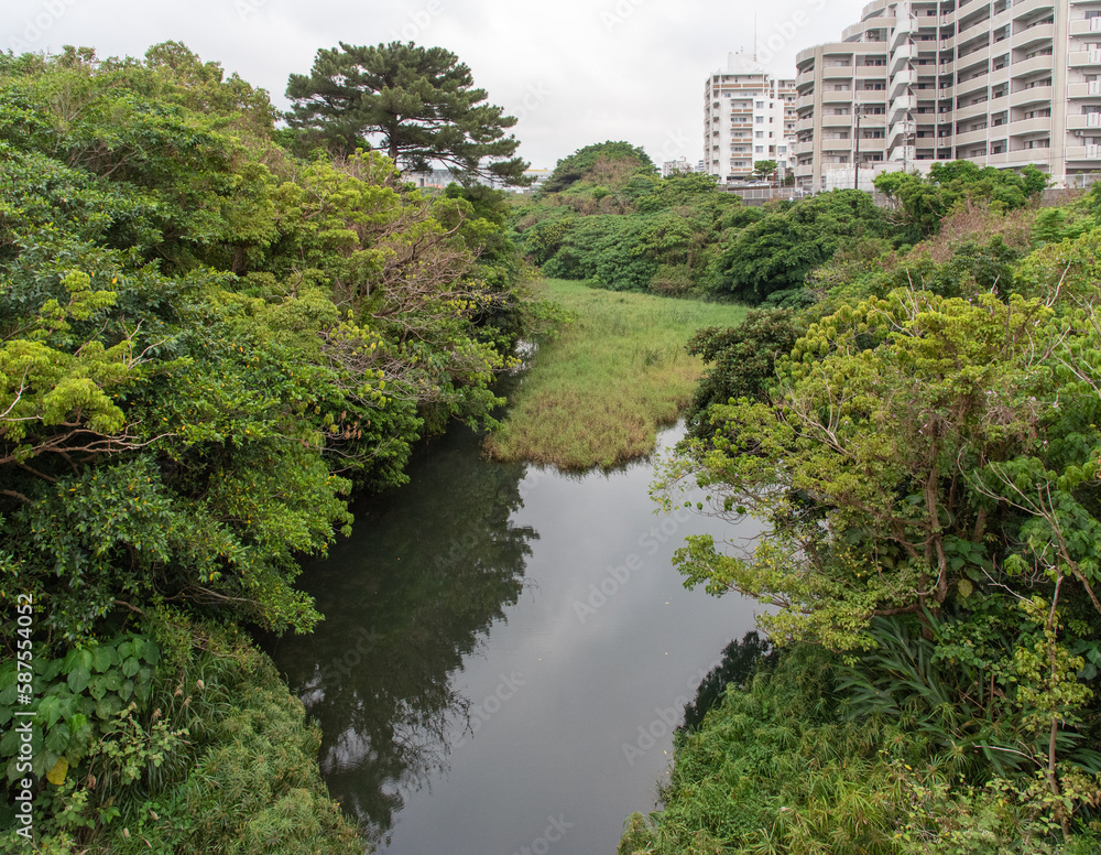 マンションに隣接する自然の緑と池