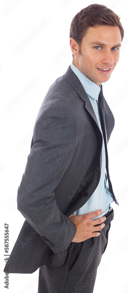 Cheerful businessman standing with hands on hips Cheerful businessman standing with hands on hips