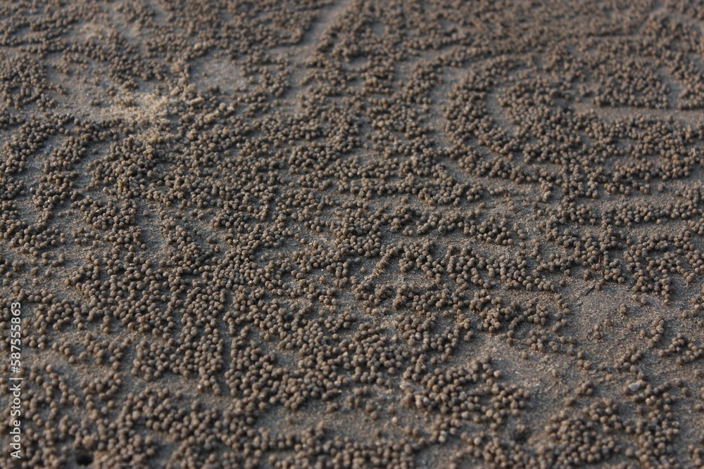 Sand texture background. Close-up of sand texture for background.
