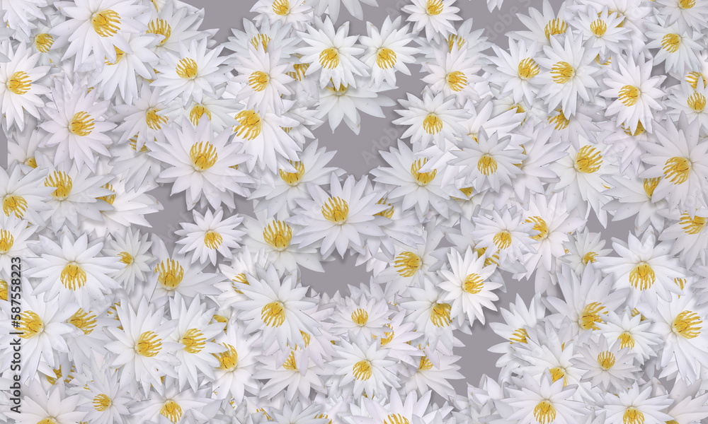 Abstract floral pattern for background. Abstract floral pattern for background.