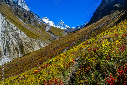 Magnificent view of snow capped Mt. Bhrigupanth and Mt. Thalayasagar on the way to Kedartal photo