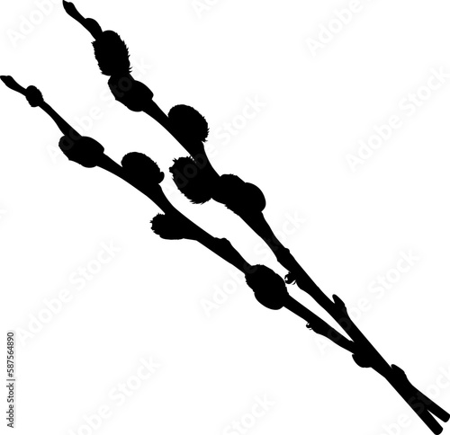 Two willow branches with buds. Shape.
Vector illustration of branches of willow with buds. Pussy willow vector graphic on transparent background. 
Illustrations of trees in vector.

