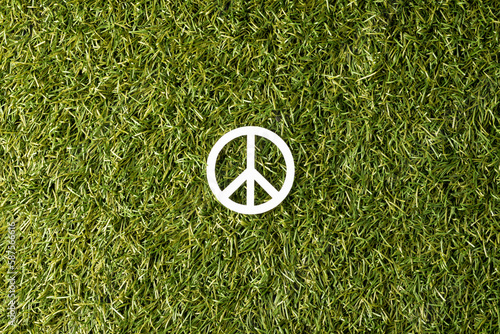 High angle view of white peace sign with copy space on grass background