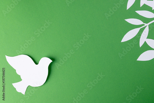 Close up of white dove with leaves and copy space on green background