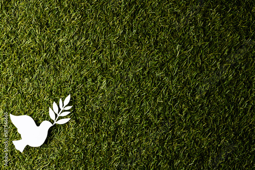 Close up of white dove with leaf and copy space on grass background