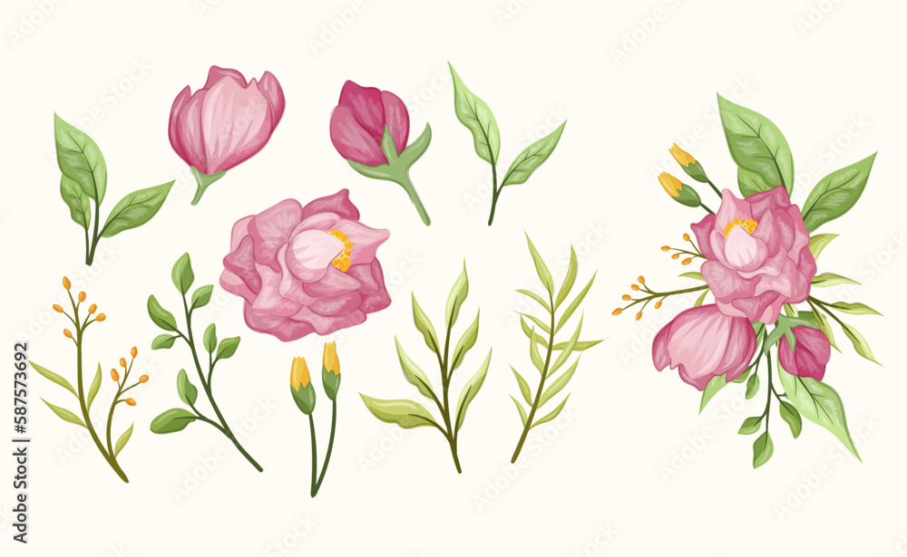 Soft peonies flower set with leaf leaves and bud blooming bouquet flora botanical romance rustic