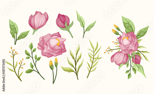 Soft peonies flower set with leaf leaves and bud blooming bouquet flora botanical romance rustic