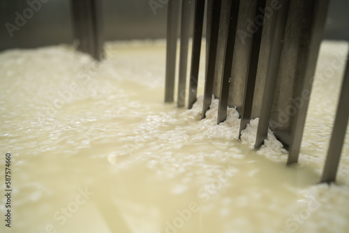 Process of producing different varieties of cheese in industry, cutting the curds and whey in tank at cheese factory, macro. Cheese making as a business