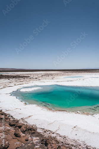 Salt Lagoon with Crystal Clear Water Baltinache Lagoon San Pedro de Atacama © Peter