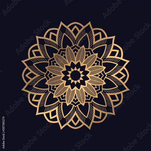 Creative luxury mandala background Design Vector