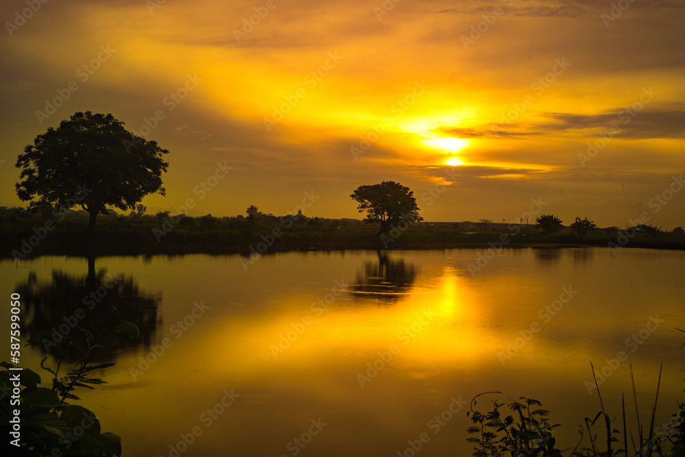 Golden hour during sunrise over the lake with trees in Gresik, East Java. Indonesia.