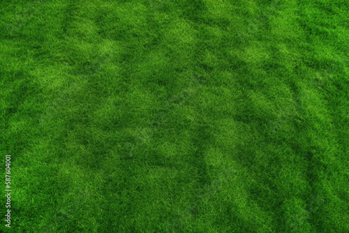 Dense green grass texture, high resolution. Perfect lawn, top view. Natural background of fresh green grass. Easter background concept. Springtime nature pattern. Copy space. Generative AI © Sheremetio