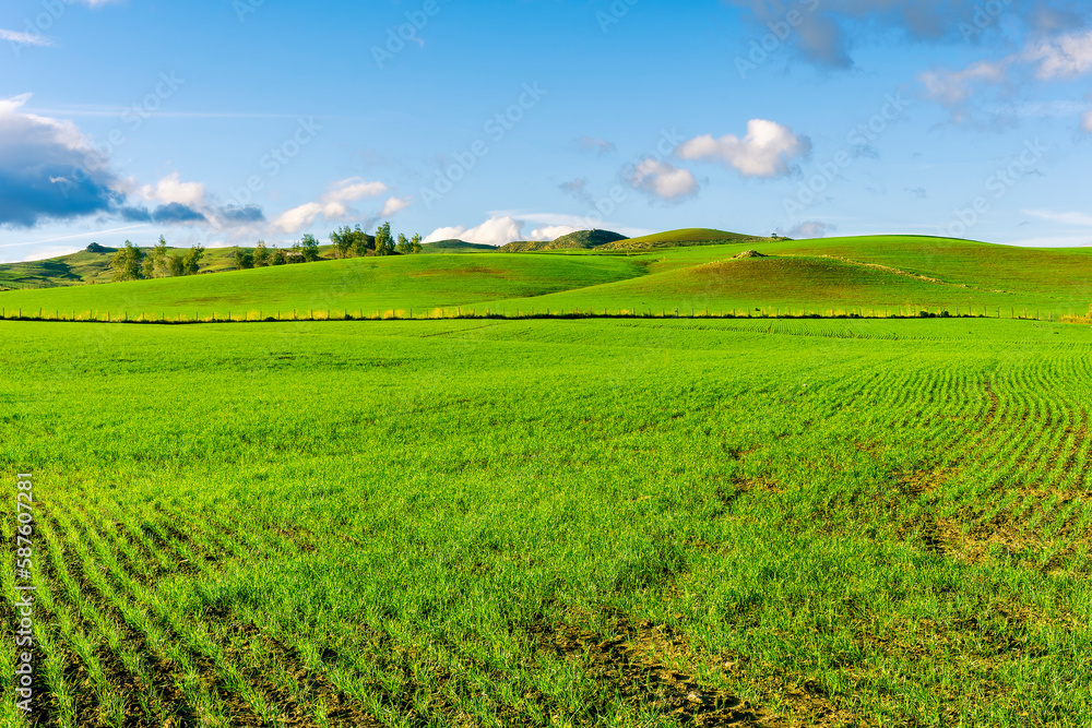 landscape with green grass , country field and beautiful hills and blue sky with clouds landscape with green grass , country field and beautiful hills and blue sky with clouds