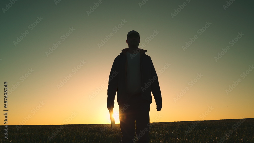 silhouette male farmer walking sunset across wheat field. Agriculture. farming concept. tablet hand rays sunlight. farmer work wheat field. tablet hand sunset. business concept harvest. smart farm