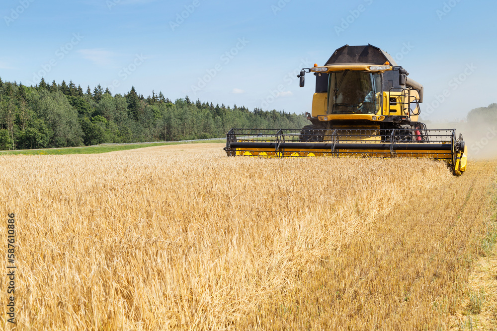 Obraz premium Harvesting with combines