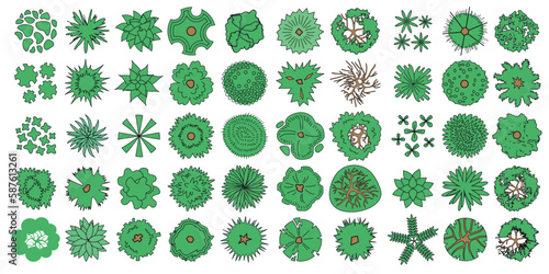 Vector set. Trees top view. Different plants and trees vector set for architectural or landscape design. (View from above) Nature green spaces. 