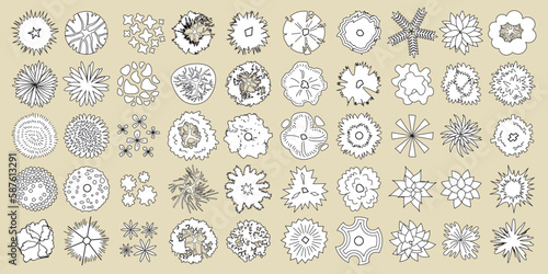 Trees top view. Vector set. Different plants and trees vector set for architectural or landscape design. (View from above) Linear sketch.