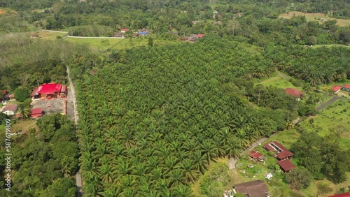 Aerial shot of villages and palm trees,Negeri Sembilan,Malaysia photo