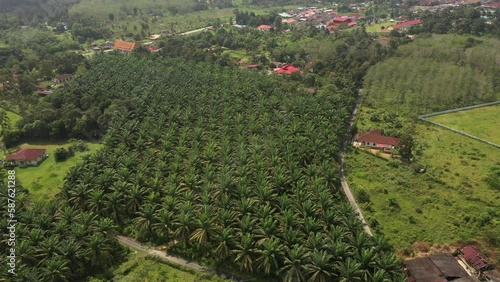 Aerial shot of villages and palm trees,Negeri Sembilan,Malaysia photo