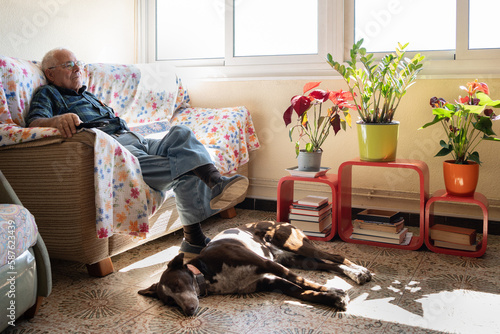 retired man on sofa watching TV with dog at his feet, elderly man at home alone with canine friend and TV remote control in his hand. Very bright house