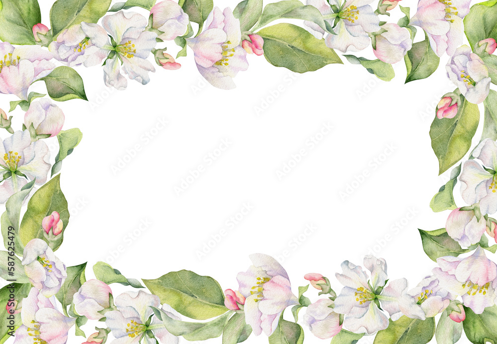 Hand drawn watercolor apple blossom, white and pink flowers with green leaves. Square frame composition. Isolated object on white background. Design for wall art, wedding, print, fabric, cover, card.