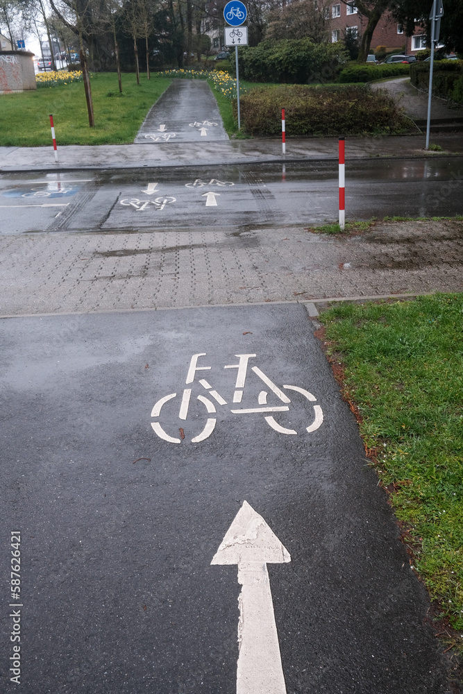 Obraz premium Bike path crosses car road in pouring rain