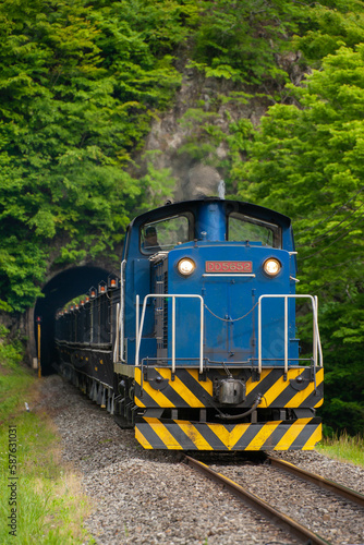 トンネルから出る貨物列車