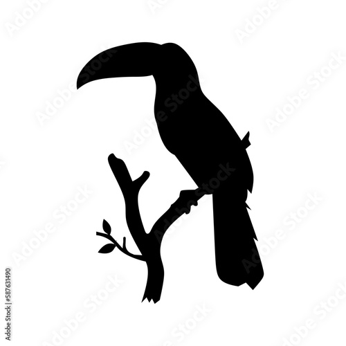 illustration of a bird 