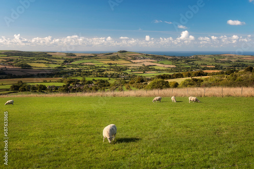View from Dorchester Road, looking towards Litton Cheney, Dorchester, Dorset, England