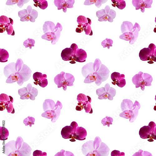 Beautiful seamless pattern of orchid flowers. Orchids pattern for design, isolated.
