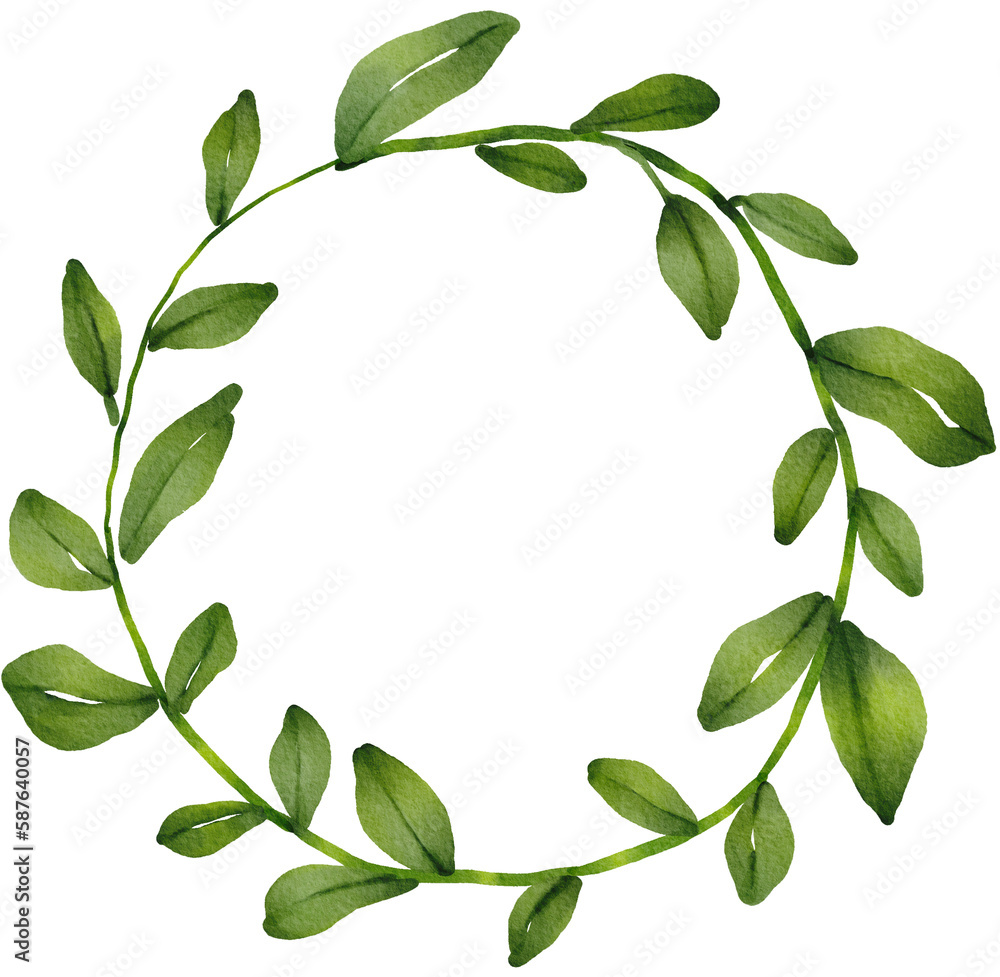 olive branch watercolor png olive branch watercolor png