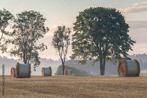 Fototapeta Naklejka Na Ścianę i Meble -  View of the Masurian fields.