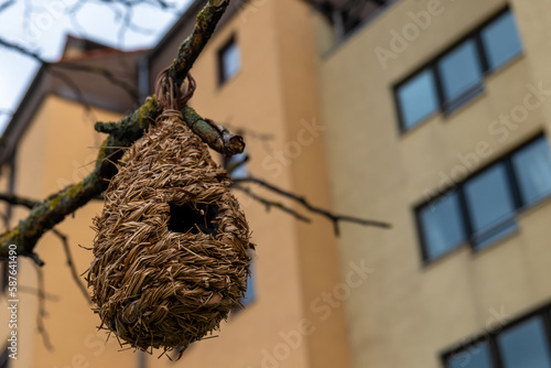 an artificial bird nest on a tree