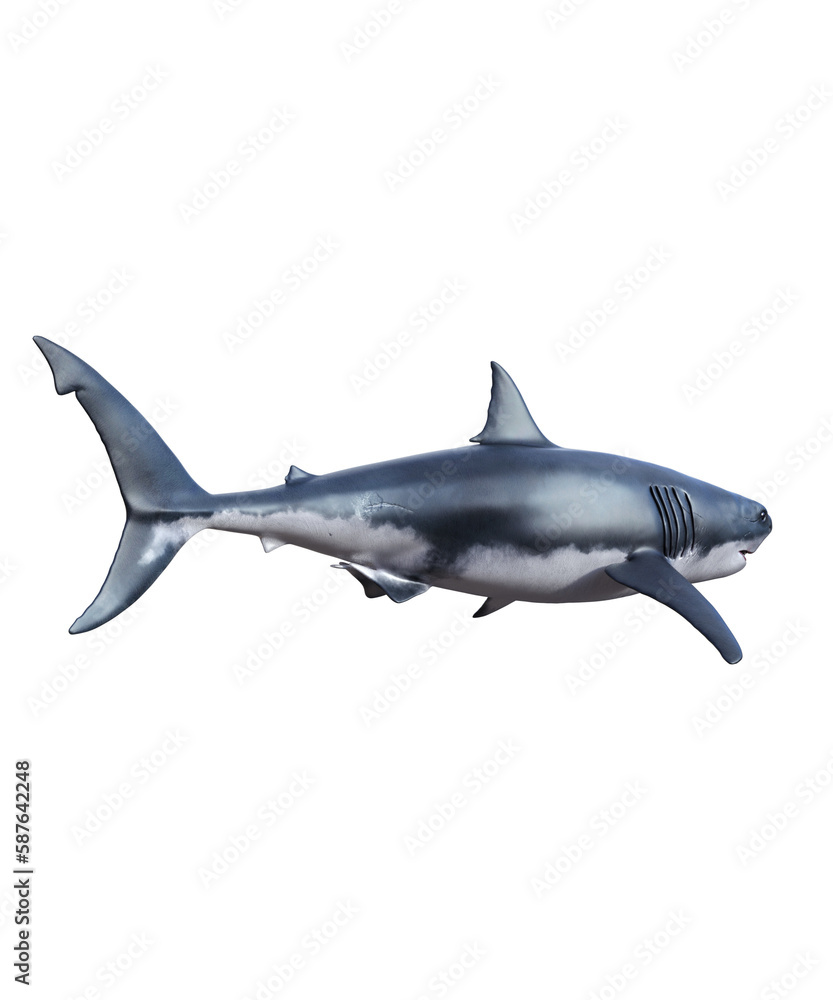 Fototapeta premium A captivating image of a Great White shark to use as a book cover or poster design? Browse through an extensive collection of high-quality shark images to find the perfect one.