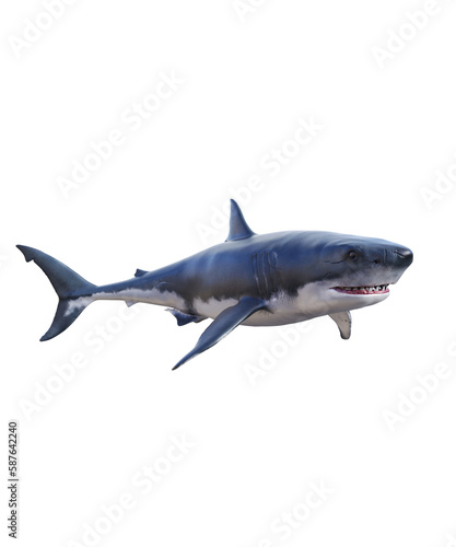 A captivating image of a Great White shark to use as a book cover or poster design  Browse through an extensive collection of high-quality shark images to find the perfect one.