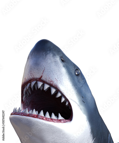 A captivating image of a Great White shark to use as a book cover or poster design  Browse through an extensive collection of high-quality shark images to find the perfect one.